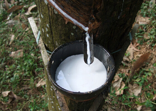 天然膠粘劑消泡劑的特性與解決方案