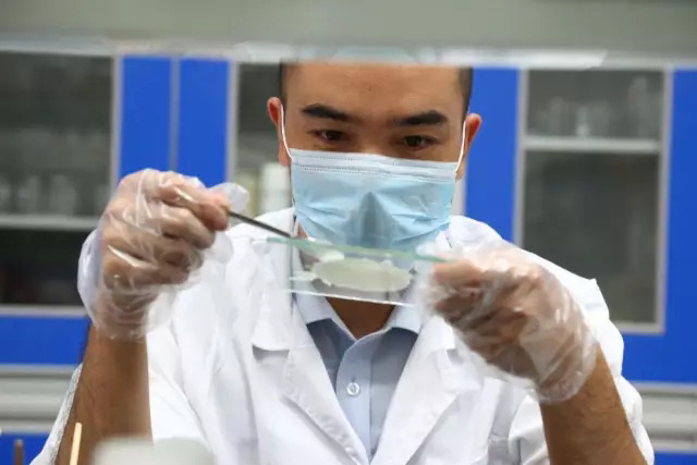 好神奇！環氧膠消泡劑能解決車飾開裂問題