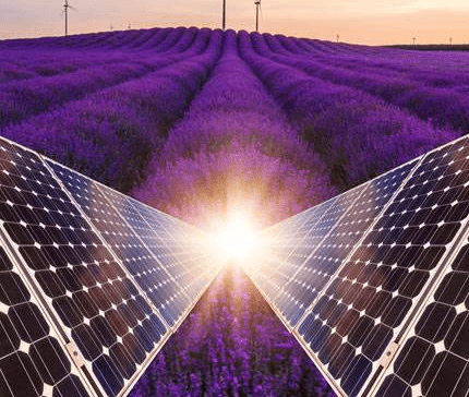 留下我的導電液消泡劑，也停止您的導電液泡沫