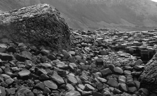 怎么礦業浮選消泡劑在礦業里那么多人在用？