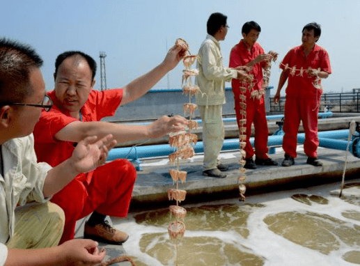 遇到生物水處理消泡劑后，生物水處理起泡不再是難題