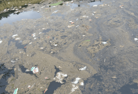 希望你，不要等到環境被污染了才意識到垃圾滲濾液處理消泡劑的必要