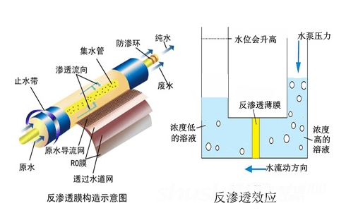 【客戶案例】決定飲用水的質量，竟然缺不得反滲透水處理消泡劑！