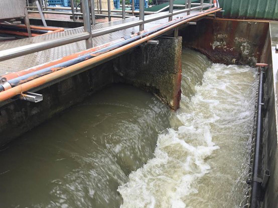 為什么非硅消泡劑這么受歡迎