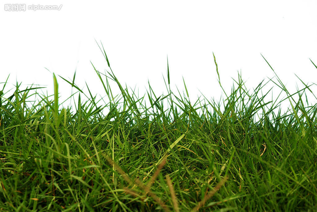 農藥消泡劑在除草劑中的應用