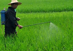 化肥消泡劑在除草中的應用