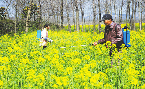 農(nóng)用有機(jī)硅消泡劑在農(nóng)藥中的應(yīng)用