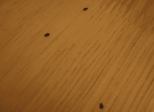 家具漆消泡劑在家具漆中的應用