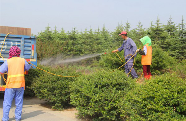 除草劑消泡劑在除草中應(yīng)用