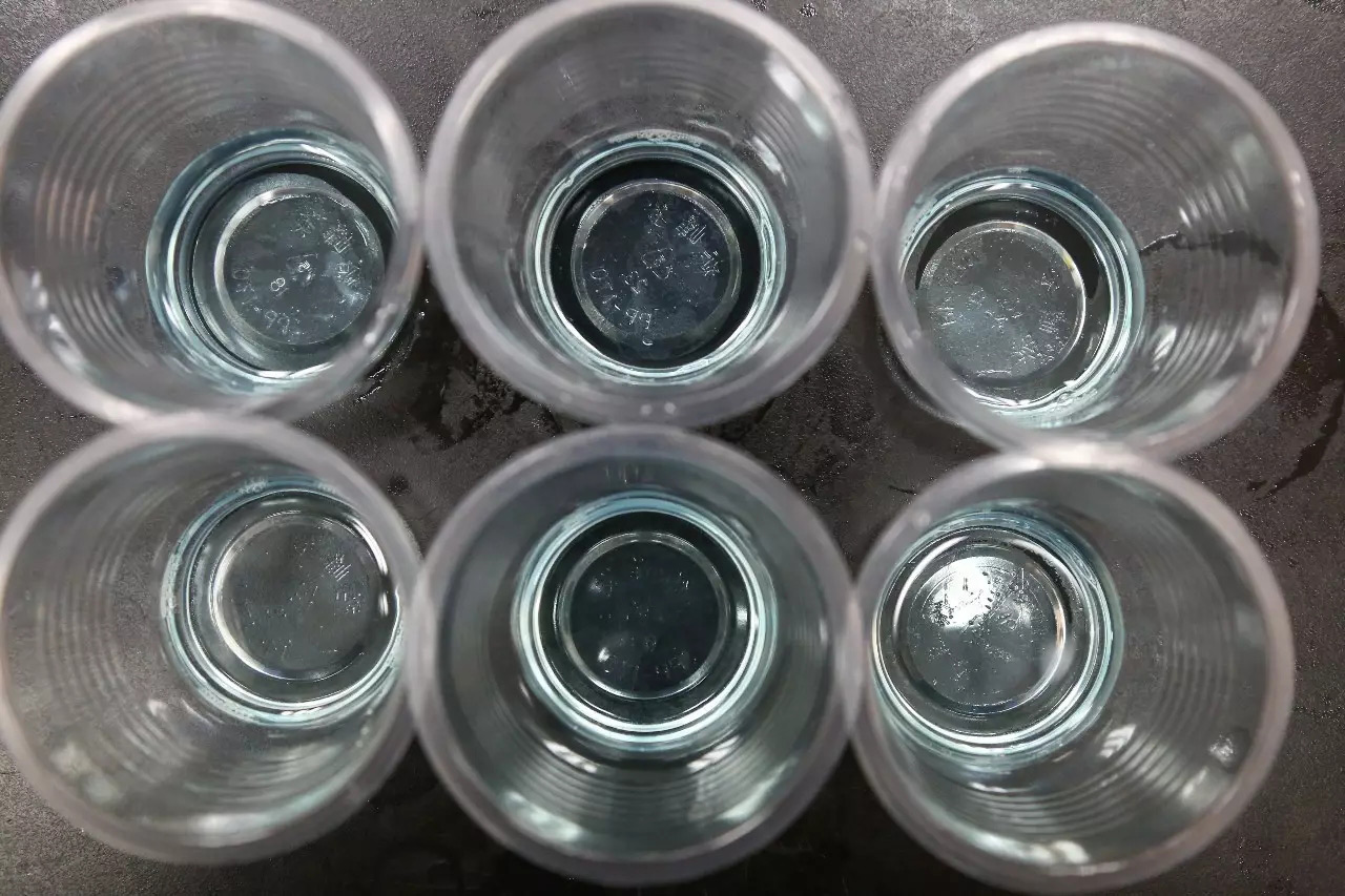 樣品杯觀測 樣品杯觀測