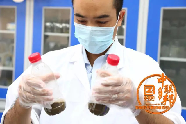 確認實驗結果 確認實驗結果