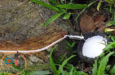 橡膠樹脂消泡劑.jpg 橡膠樹脂消泡劑在橡膠行業中應用