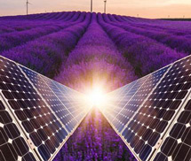 導電液消泡劑應用場景 導電液消泡劑應用場景