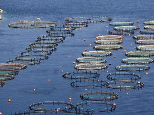 水處理消泡劑在水處理中應用