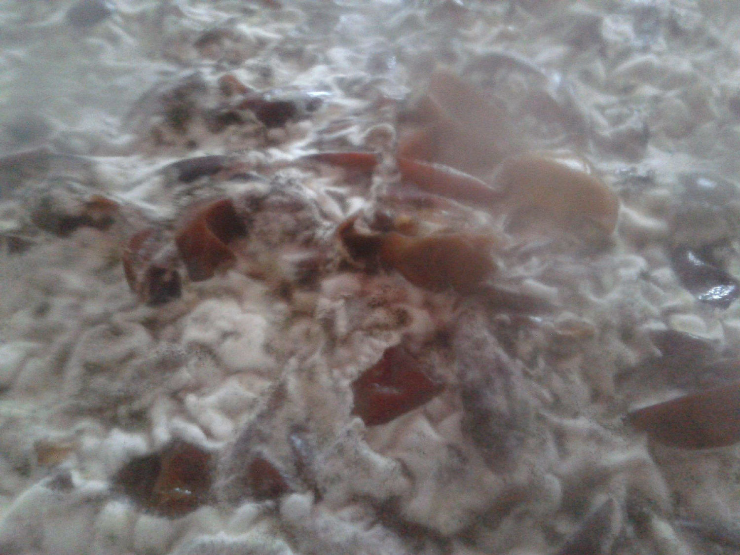 發(fā)酵消泡劑在發(fā)酵中應(yīng)用 發(fā)酵消泡劑在發(fā)酵中應(yīng)用