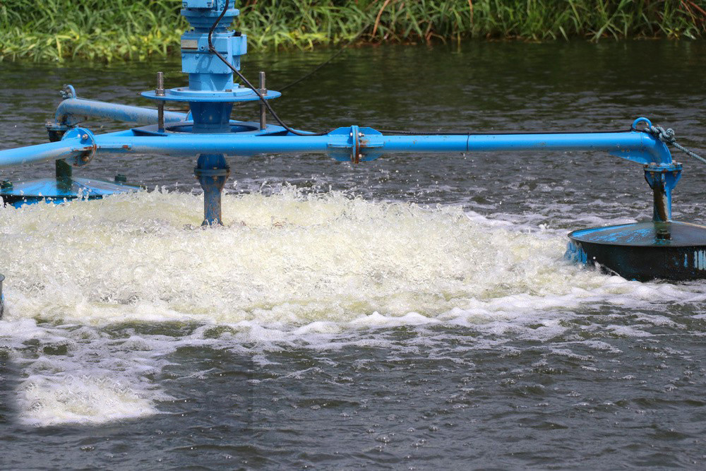 754156.jpg 754156.jpg